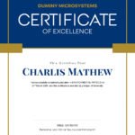 Certificate of Excellence