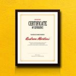 Certificate of Experience