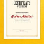 Certificate of Experience