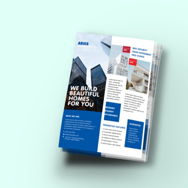 Real Estate Flyer
