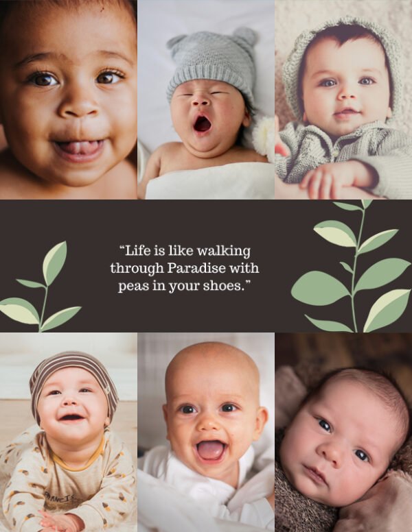 Boxed Photo Collage Template