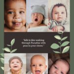 Boxed Photo Collage Template