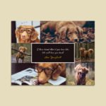 Pet Photo Collage Template