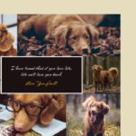 Pet Photo Collage Template