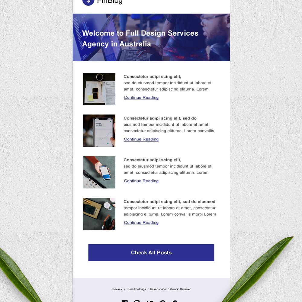 Simple Email Newsletter Template