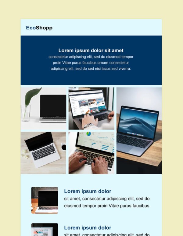 Ecommerce Email Newsletter Template