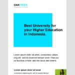 Educational Email Newsletter Template