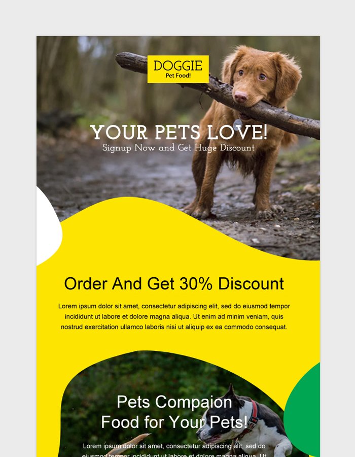 Pets Email Newsletter Template