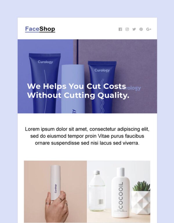 Products Launch Email Newsletter Template